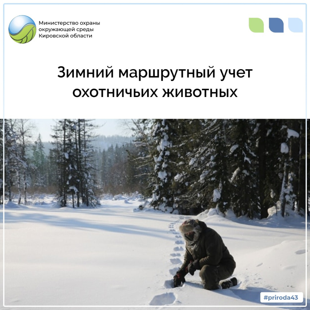 Зимний маршрутный учет охотничьих животных