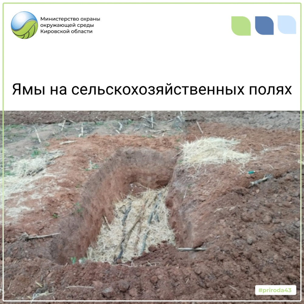 Ямы на сельскохозяйственных полях