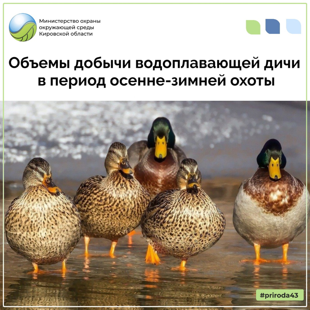 Уважаемые охотники!