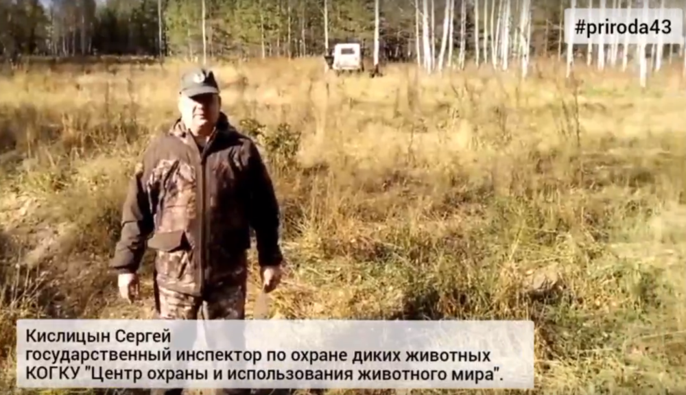В общедоступных охотугодьях Верхошижемского района с запретом охоты приняты биотехнические задания