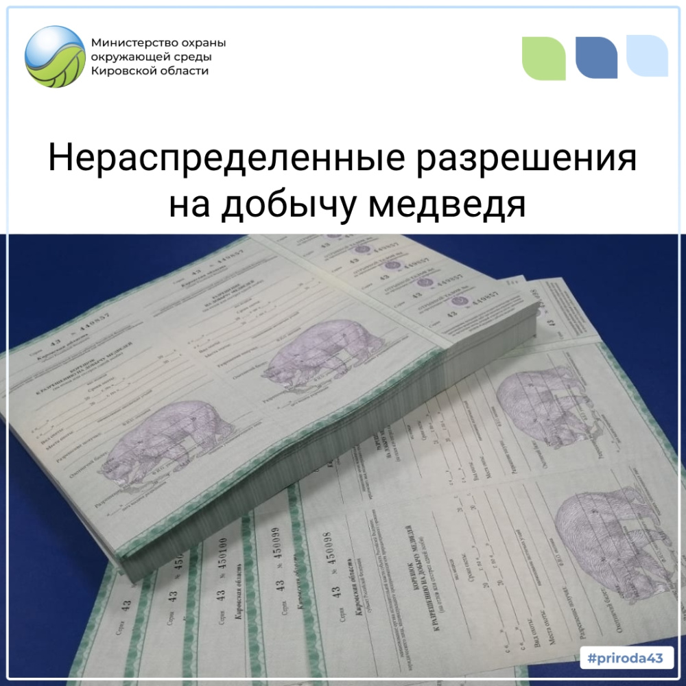 Нераспределенные разрешения на добычу медведя