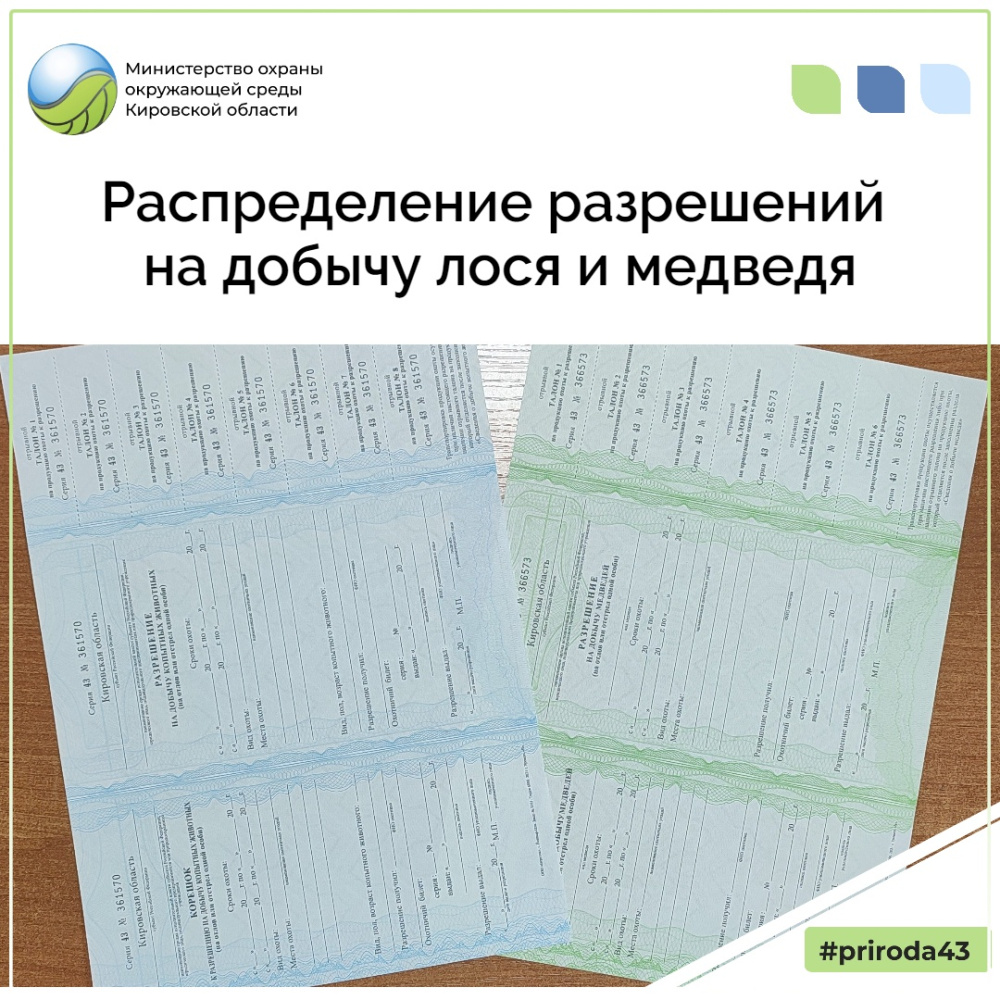 Продолжается прием заявлений на участие в распределении разрешений на добычу лося и медведя!