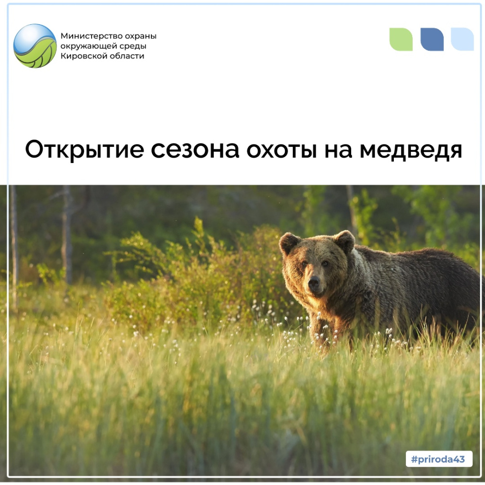 Открытие сезона охоты на медведя