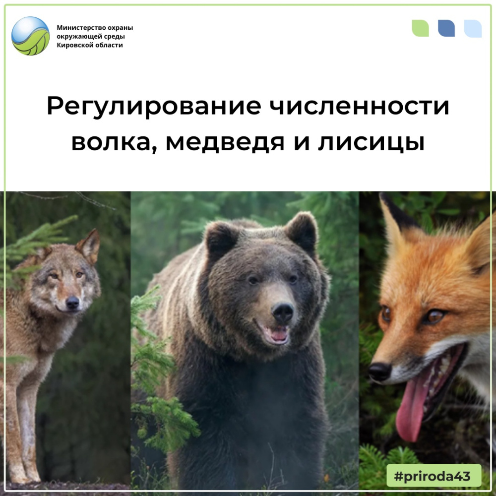 Приняты решения о регулировании численности охотничьих животных