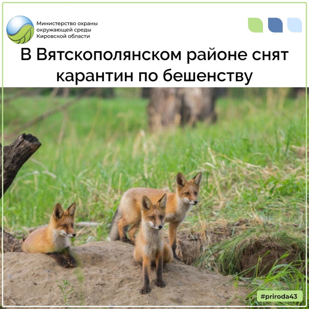 В Вятскополянском районе снят карантин по бешенству животных