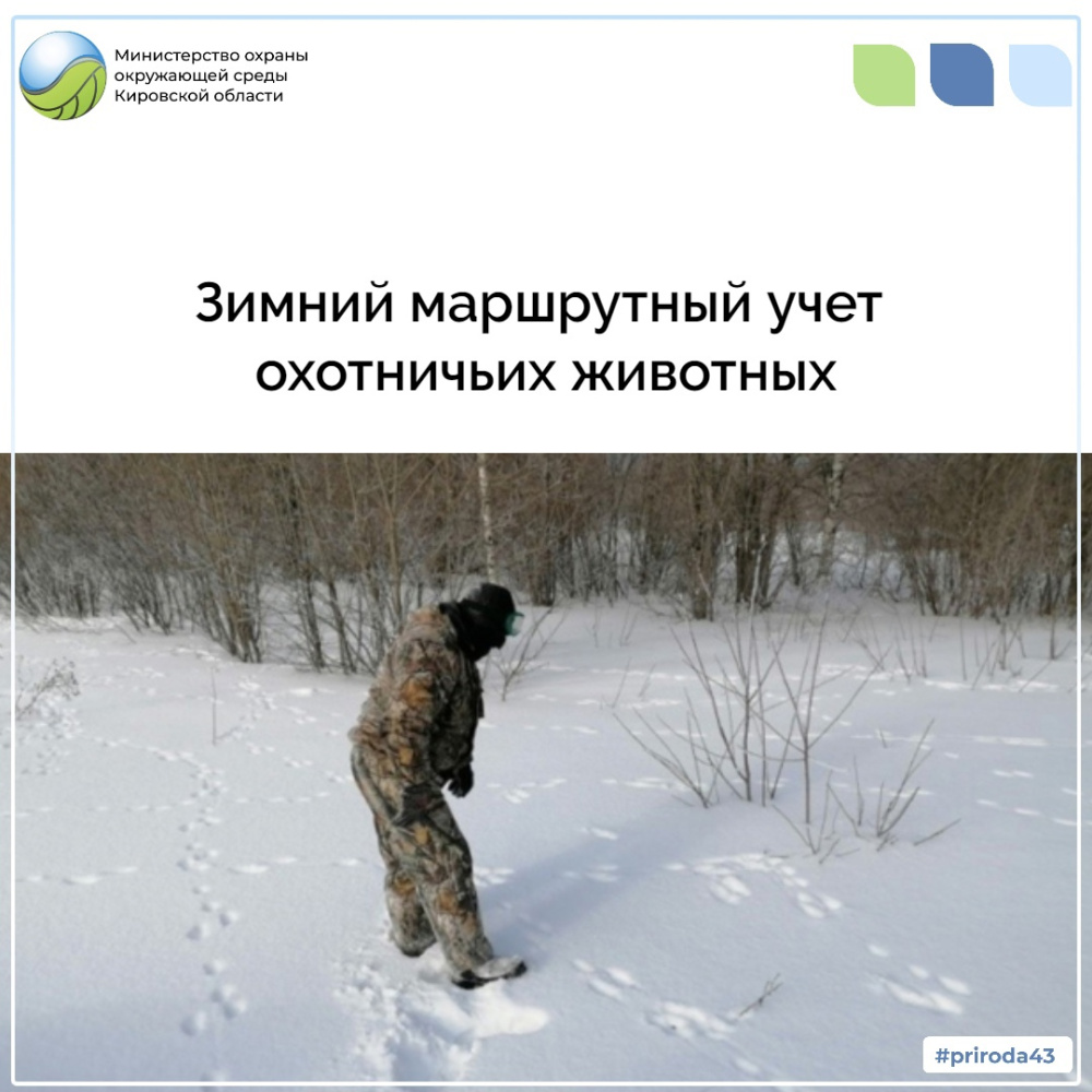 Зимний маршрутный учет охотничьих животных