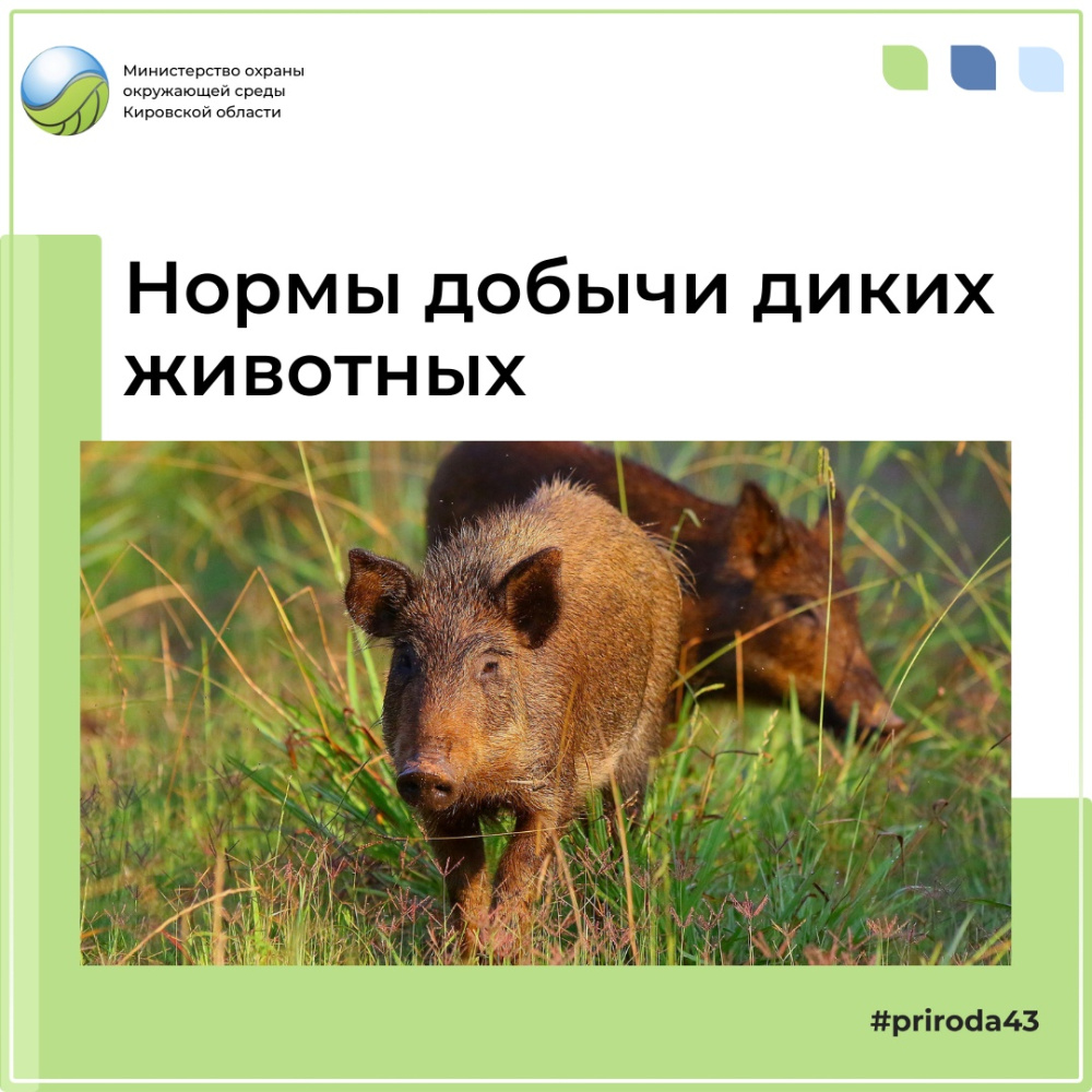 О нормах допустимости добычи!