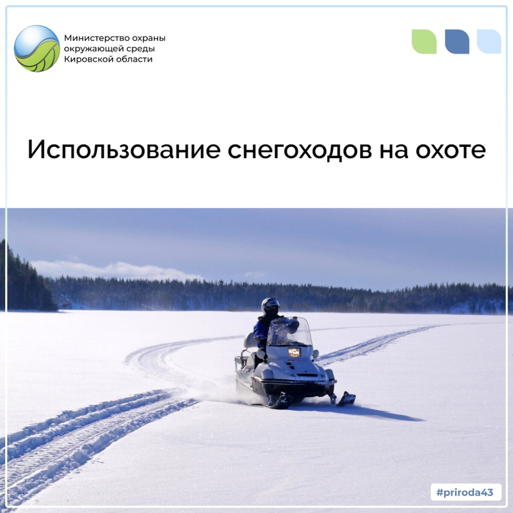 Использование снегоходов на охоте