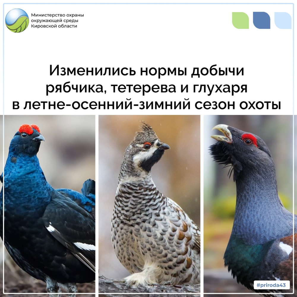 Изменились нормы добычи птиц