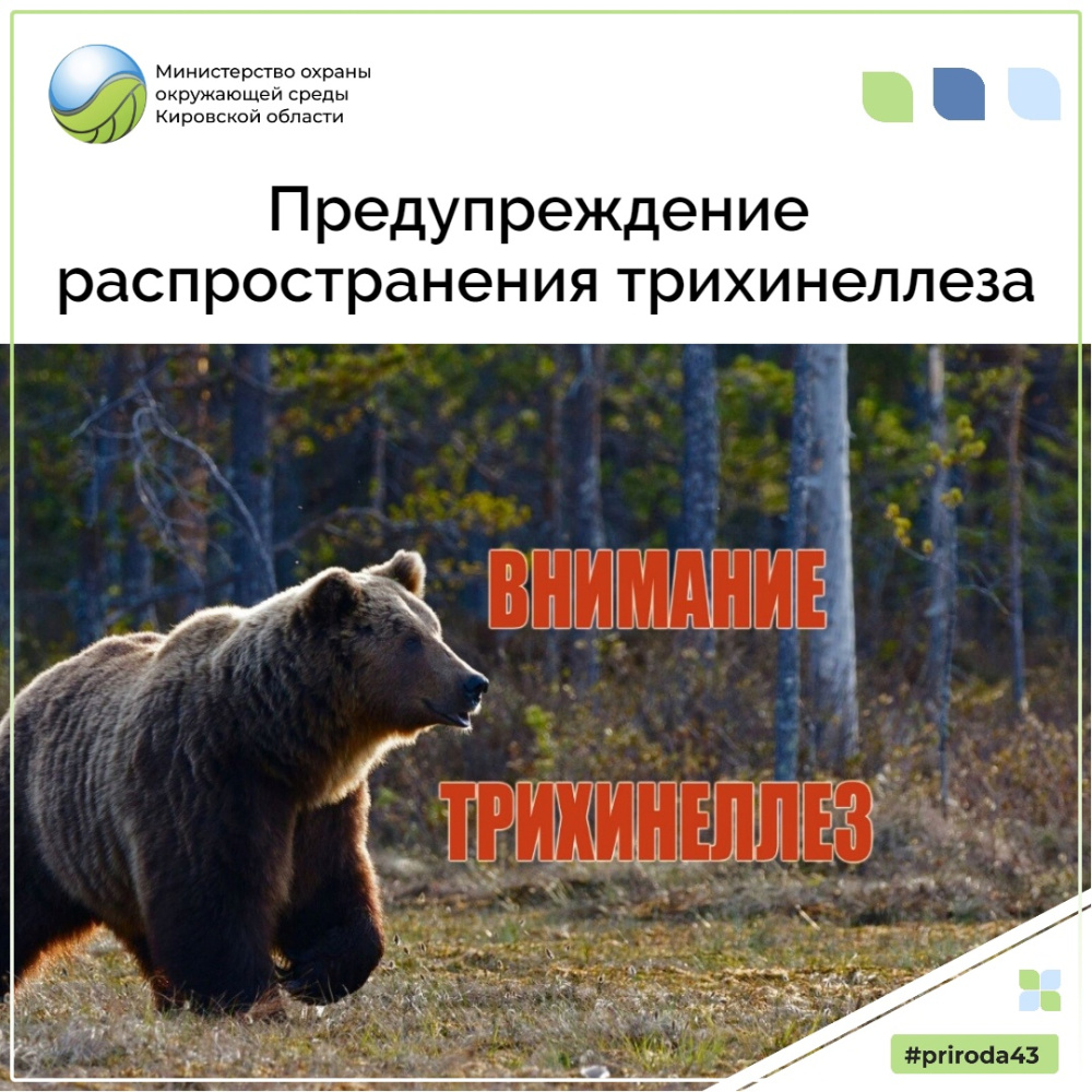 О выявленном случае трихинеллеза в Оричевском районе