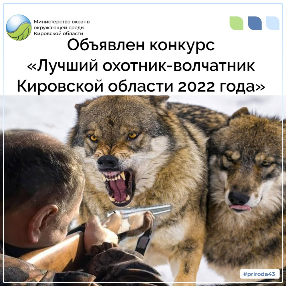 Объявлен конкурс «Лучший охотник-волчатник Кировской области 2022 года»